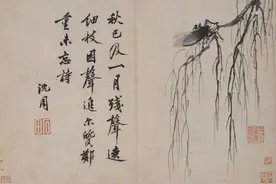闻蝉起乡心：记忆中的夏天，那满满的烈日蝉鸣｜周末读诗图片