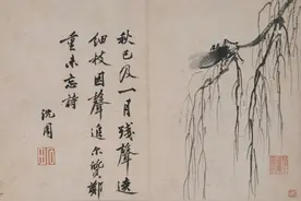 闻蝉起乡心：记忆中的夏天，那满满的烈日蝉鸣｜周末读诗图片