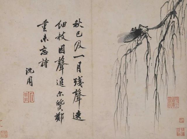 噤声的解释是什么（闻蝉起乡心记忆中的夏天）