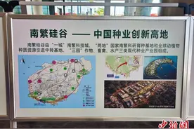 海南大学三亚南繁研究院揭牌成立图片