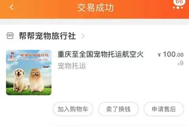 “空运变陆运”金毛犬热死笼中，涉事托运公司：员工接私单已离职图片
