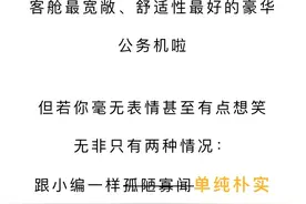 原价5.6亿打3折拍卖！甘肃前首富两架豪华飞机流拍，最伤心的是银行图片