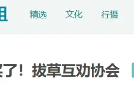 11万网友在这里“与消费主义逆行”，有人为拔草有人不是图片