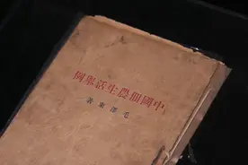 新华全媒+｜在这里，有两个特殊的农民“账本”图片