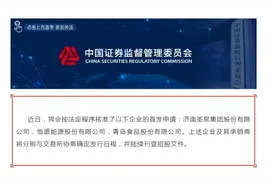 山东将再迎2家A股上市公司！圣泉集团、青岛食品获IPO批文图片