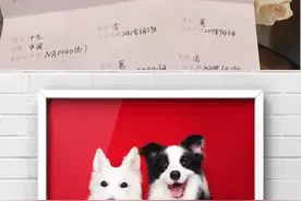 白德牧和边牧领结婚证冲上热搜，网友：真·撒狗粮！酸了…图片
