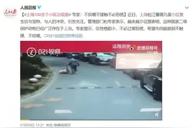 野生貉进城安家了！如何才能“貉平相处”？图片