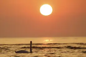 波罗的海的日落图片