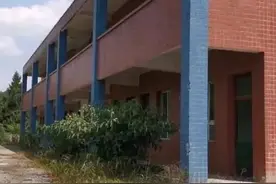 古天乐捐的小学杂草丛生？图片