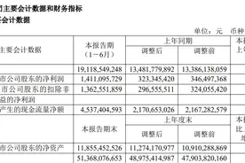 上半年业绩增长超3倍！私募大佬出手：邓晓峰狂买这只股，重仓10个亿图片