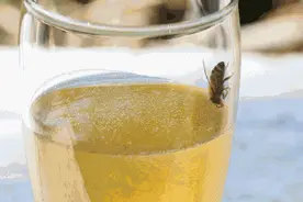 中午喝蜂蜜水有助解乏图片