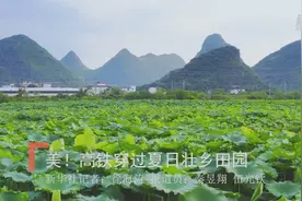 美！高铁穿过夏日壮乡田园视频封面