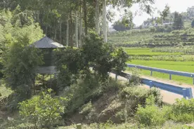 乐山七旬老人搭建爱心凉亭，为路人免费提供茶水图片