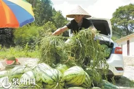 德化县汤头乡：瓜果飘香富农家图片