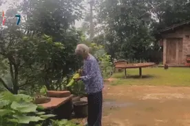 开心到跺脚！孙女偷偷回家，给86岁奶奶一个惊喜图片