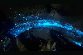 福建平潭岛出现“蓝眼泪”，目击者：就像星辰一样视频封面