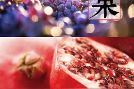 洞见历史 有水果相伴图片