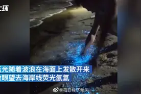 福建平潭岛出现蓝眼泪，目击者：就像星辰一样图片