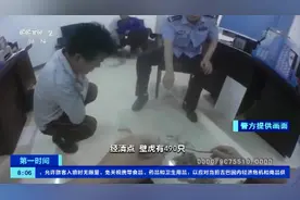 私自捕捉壁虎非法！两人猎捕490只壁虎被刑拘图片
