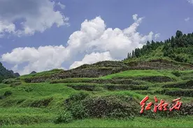 文旅周刊｜一座城的千年转换图片