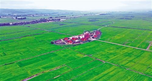 吉林问粮——践行习近平经济思想调研记