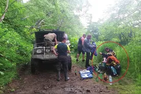 为躲避一只吃人的棕熊，俄罗斯夫妇在树上待了10天图片