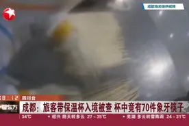 成都：旅客带保温杯入境被查  杯中竟有70件象牙筷子视频封面