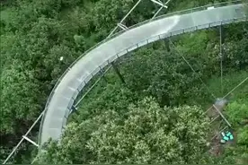 2.5公里长的玻璃漂流水滑道长啥样？在金华白露山体验“水上过山车”的失重感图片