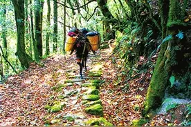 保山隆阳可以这么逛图片