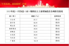 115名突击队员抵达麻栗坡 筑牢边境疫情防控“铜墙铁壁”图片