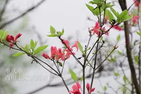 赵世炎牺牲94周年：好想告诉他视频封面