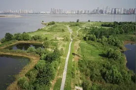 长江武汉段出现20年来最优水质，江豚频频出现图片