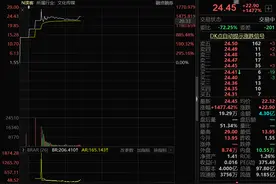 股价要涨上天！N读客上市首日惊天暴涨近1800%图片