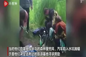 俄罗斯一对夫妻在树林遇上熊 藏树上10天躲避袭击图片