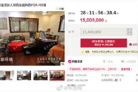 重庆三套千万级豪宅下月拍卖，今年重庆豪宅法拍最高成交2004万元图片