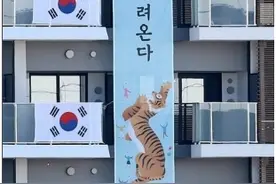 冲突再起！韩奥运代表团又挂内涵“猛虎图”，日右翼在奥运村周边搞“辱韩”游行图片
