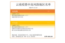 云南德宏本轮疫情已持续半月，常务副省长连续赴瑞丽边境村寨调研图片