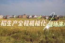 乡村振兴丨视频：机械化绘就株洲“未来农业”图片