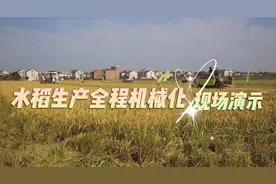 乡村振兴丨视频：机械化绘就株洲“未来农业”图片