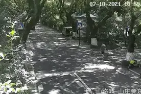 揪心！电动车骑行中自燃，父女瞬间被火焰吞噬图片