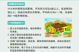 小心“横风横雨”！东莞台风白色预警信号升级为蓝色图片
