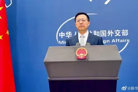 赵立坚批某些国家口头巨人行动矮子图片