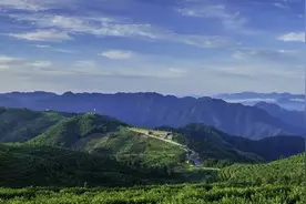 事要三思 免劳后悔图片