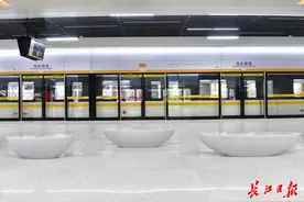 转扩！武汉这些地方都会通地铁，看看是你家附近吗？图片