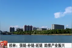 桂林：强链-补链-延链 助推产业振兴视频封面