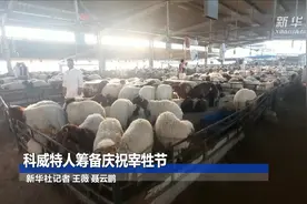 科威特人筹备庆祝宰牲节视频封面