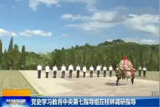 七星区召开庆祝中国共产党成立100周年座谈会视频封面