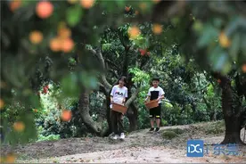 快乐暑假 发现东莞②|趣采摘：全家一起去采摘，与盛夏瓜果悠然对话图片