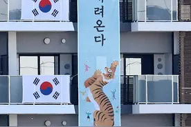又杠上了，韩奥运代表团挂“猛虎”横幅，日右翼举行“辱韩”游行图片