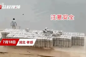 “帮帮我呀！”萌娃奶音来袭，这次真的融化了图片